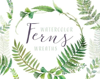 May include: Watercolor illustration featuring green fern wreaths and individual fern fronds on a white background. The text "Watercolor Ferns Wreaths" is displayed in a handwritten font. The artist's name, "Paper Sphinx," is at the bottom.