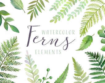 Watercolor Ferns Clipart | Forest Leaves Clipart - Greenery Leaf Branches and Stems - Wedding Invitation Clip Art - Instant Download PNGs