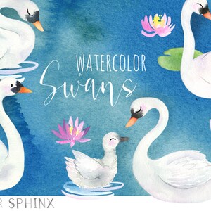 Watercolor Swans Clipart | Bird Nursery Art - Mommy and Baby Swan ...