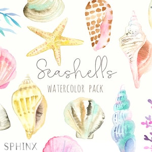 Watercolor Seashells Clipart - Nautical Watercolor Clip Art - Ocean Shells, Starfish, Conch, Seaweed, Coral - Instant Download Digital PNG