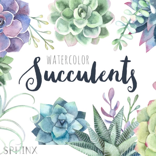 Watercolor Succulents Clipart | Floral Wedding Invitation Clipart - Succulents, Cactus and Air Plants - Instant Download PNGs