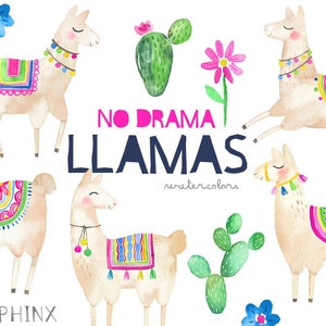 Aquarell Lama Clipart | Kein Drama Lamas - Aquarell Clipart - Alpakas - mit Kaktus und Blumen. Sofortiger Download von PNG-Dateien