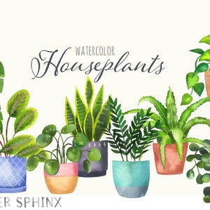 Watercolor House Plants Clipart | Plant lady graphics - Pothos, Snake Plant, Fern, Monstera, ZZ Plant - Instant Download Digital PNG Files