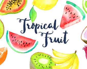 Watercolor Tropical Fruit Clipart | Fruit Clip Art - Pineapple, Bananas, Kiwi, Coconut, Pomegranate, Papaya, Citrus - Instant Download PNGs