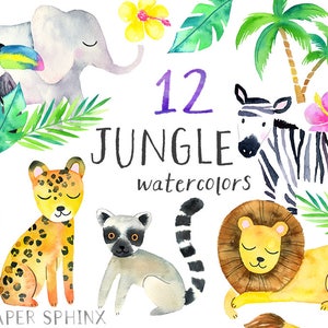 Safari Animals Clipart | Watercolor Jungle Animals Clipart - Safari Lion, Elephant, Toucan, Zebra, Leopard - Instant Download PNG Clip Art