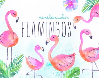 Watercolor Flamingos Clipart | Tropical Flamingos Summer Clipart - Flamingo Nursery Art - Digital Instant Download PNG Files