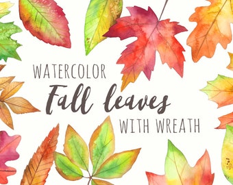 Acuarela Otoño Hojas Clipart / Otoño Hojas Clipart Guira - Arce, Ceniza, Hojas de Roble - Rojo, Amarillo, Verde y Marrón - Archivos PNG Instantáneos