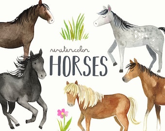 Watercolor Horses Clipart | Horse and Pony Breeds - Shetland, Clydesdale, Appaloosa, Running Horses - Instant Download Digital PNG Images