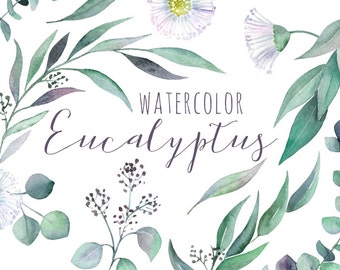 Watercolor Eucalyptus Clipart | Greenery Clipart - Flowers, Leaves, Branches and Stems - Wedding Invitation Clip Art - Instant Download PNGs