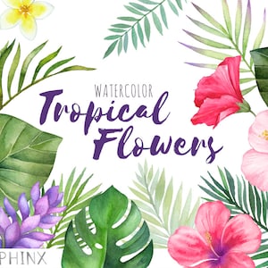 Aquarela Flores Tropicais Clipart | Havaí Clipart - Flores De Hibisco - Folhas De Palmeira - Convite De Casamento Na Praia De Verão - Download Instantâneo PNGs