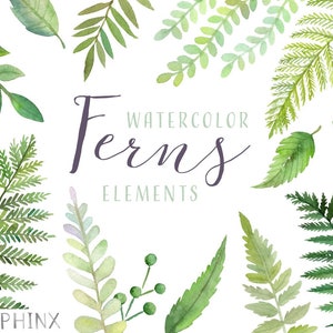 Watercolor Ferns Clipart Forest Leaves Clipart Greenery Leaf Branches and Stems Wedding Invitation Clip Art Instant Download PNGs image 1