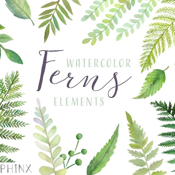Watercolor Ferns Clipart | Forest Leaves Clipart - Greenery Leaf Branches and Stems - Wedding Invitation Clip Art - Instant Download PNGs