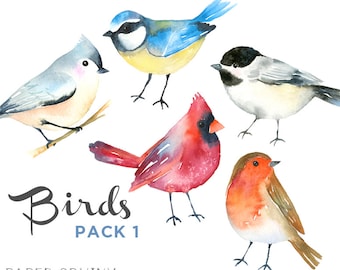 Watercolor Birds Clipart | Winter Birds Clipart - Woodland Animals - Robin, Cardinal Songbirds - Scrapbooking Nature Art - Digital Instant D
