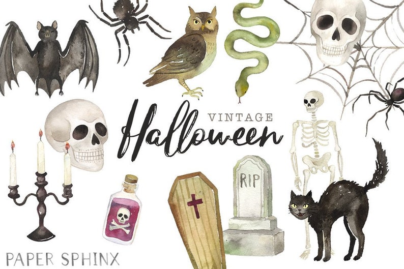 May include: Watercolor illustrations of Halloween-themed elements, including a bat, spider, owl, snake, skull, spiderweb, skeleton, black cat, and a tombstone. The word "Vintage Halloween" is written in black script.
