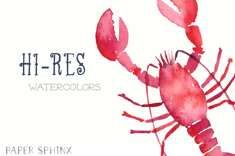 May include: Watercolor painting of a red lobster with its claws outstretched. The painting is on a white background with the text "HI-RES WATERCOLORS" and "PAPER SPHINX" in blue.