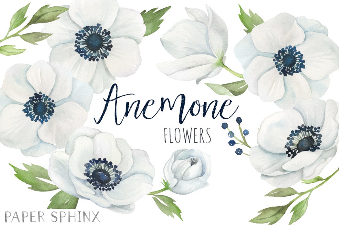 Watercolor Anemone Flowers Clipart White Wedding Flowers White, Blue
