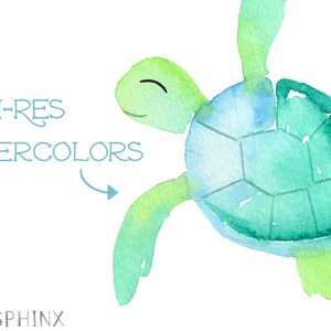 May include: Watercolor painting of a green sea turtle with a blue and green shell. The turtle is swimming with its flippers outstretched. The text "HI-RES WATERCOLORS" is written in blue on the left side of the image.