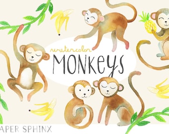 Watercolor Monkeys Clipart | Baby Animals - Jungle Monkey - Banana and Pineapple - Nursery Art - Instant Download Digital PNGs