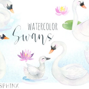 Watercolor Swans Clipart | Bird Nursery Art - Mommy and Baby Swan ...