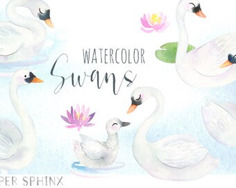 Aquarell Schwäne Clipart |  Vogel Kindergarten Kunst - Mama und Baby Schwan - Schwäne und Cygnet - mit Lilypad, Wasser lilie - digitale Instant PNG-Dateien