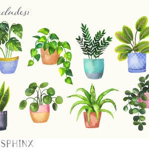 Op de afbeelding: Een set van negen aquarel illustraties van potplanten. De planten zijn in verschillende stijlen en kleuren, waaronder groen, blauw en roze. De illustraties zijn perfect om een ​​toets van natuur aan elk project toe te voegen.