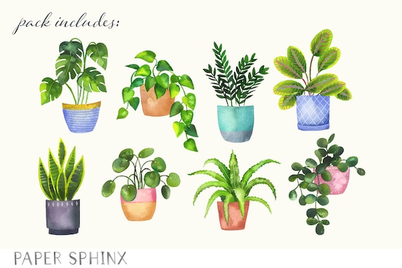Aquarell Haus Pflanzen Clipart | Pflanze Dame Grafiken - Pothos, Schlange  Pflanze, Farn, Monstera, ZZ Pflanze - Instant Download digitale PNG-Dateien  - Etsy sterreich