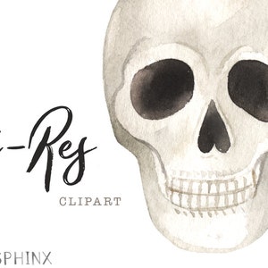 May include: Watercolor illustration of a human skull in shades of gray and white. The skull has dark eye sockets and a detailed jawline. The words "Hi-Res" and "Clipart" are written in black script.