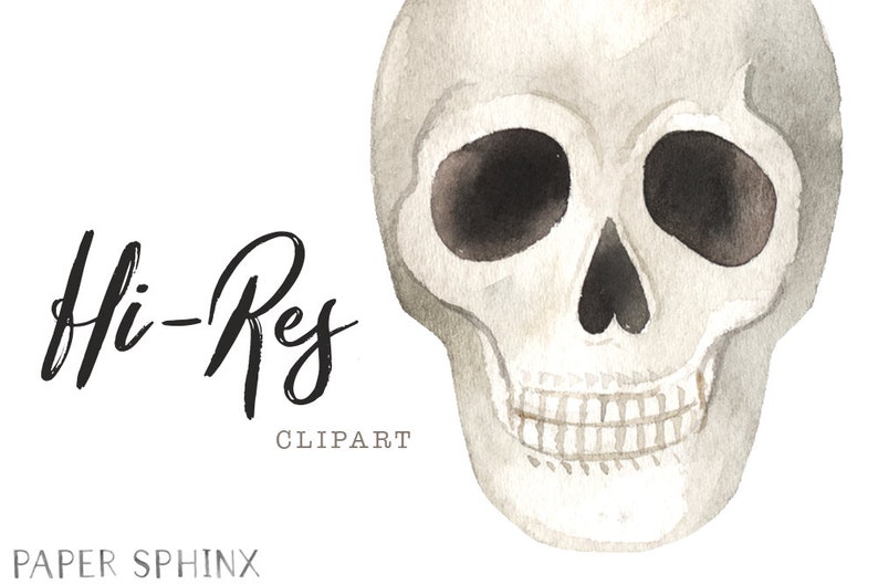 May include: Watercolor illustration of a human skull in shades of gray and white. The skull has dark eye sockets and a detailed jawline. The words "Hi-Res" and "Clipart" are written in black script.