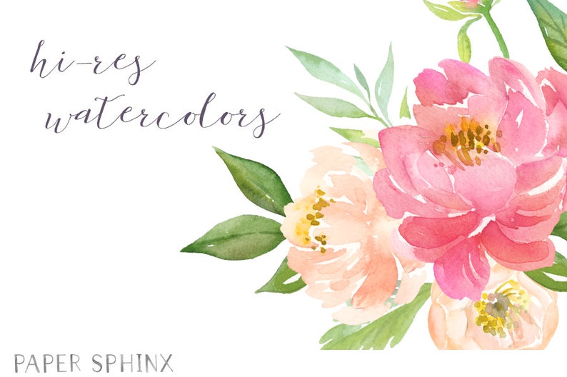 Watercolor Peonies Clipart | Spring Wedding Flowers - Coral and Blush ...