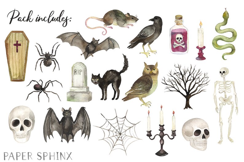 May include: Watercolor illustrations of Halloween-themed objects, including a coffin, spiders, bats, a tombstone, a black cat, an owl, a tree, a skeleton, skulls, a spiderweb, a candelabra, a rat, a crow, a poison bottle, a candle, and a snake. Text reads "Pack includes:" and "PAPER SPHINX".