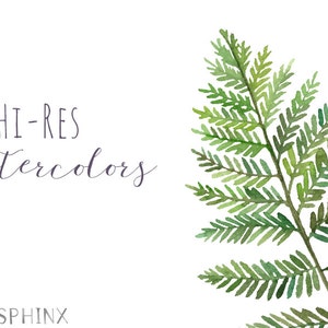 Watercolor Ferns Clipart Forest Leaves Clipart Greenery Leaf Branches and Stems Wedding Invitation Clip Art Instant Download PNGs image 3