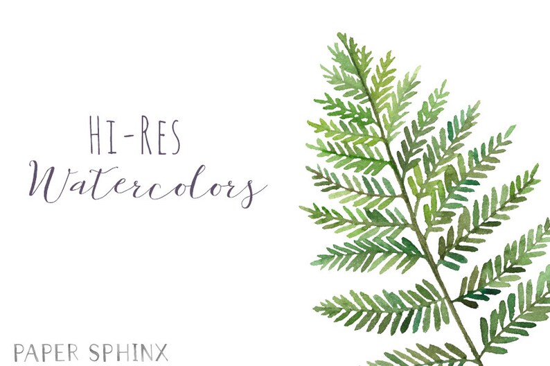 Watercolor Ferns Clipart Forest Leaves Clipart Greenery Leaf Branches and Stems Wedding Invitation Clip Art Instant Download PNGs image 3