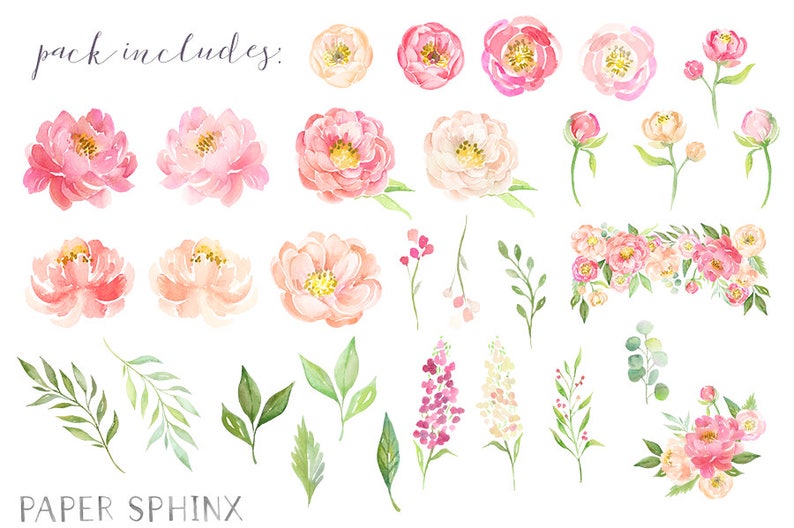 Watercolor Peonies Clipart | Spring Wedding Flowers - Coral and Blush ...