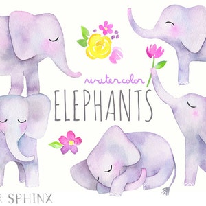 Acuarela elefante clipart / bebé elefantes - ilustrado vivero pared arte - baby shower - Digital Instant Descargar PNG