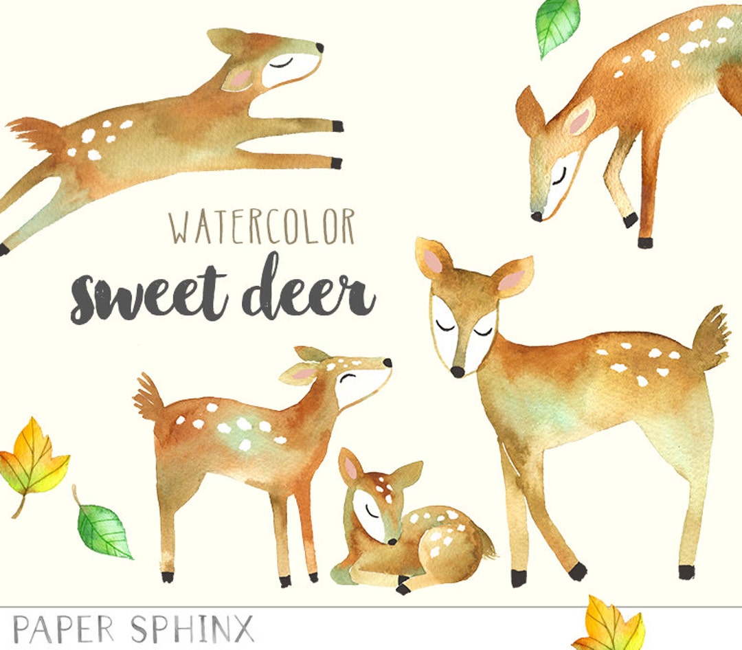 Watercolor Deer Clipart | Mommy and Baby Deer Woodland Animals - Fawn ...