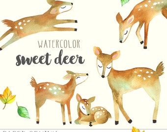 Watercolor Deer Clipart | Mommy and Baby Deer Woodland Animals - Fawn and Doe - Nursery Art - Digital Instant Download PNG Files