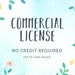 see more listings in the Licenses / Add-Ons section