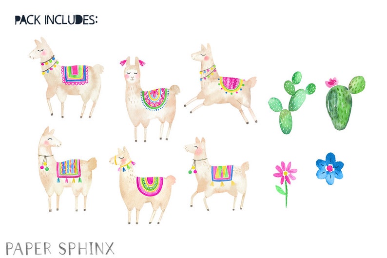 Instant Download PNG Files Alpacas with Cactus and Flowers Watercolor Clipart No Drama Llamas Watercolor Llama Clipart