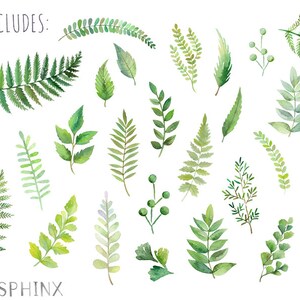 Watercolor Ferns Clipart Forest Leaves Clipart Greenery Leaf Branches and Stems Wedding Invitation Clip Art Instant Download PNGs image 2