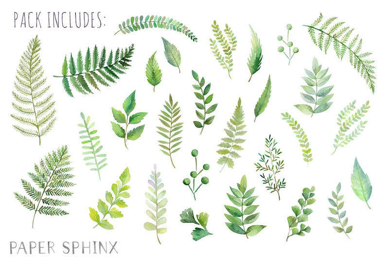 Watercolor Ferns Clipart Forest Leaves Clipart Greenery Leaf Branches and Stems Wedding Invitation Clip Art Instant Download PNGs image 2