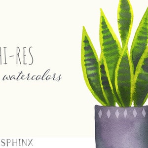 Op de afbeelding: Waterverf schilderij van een potplant met slangenhuid, die groene en gele bladeren heeft. De plant staat in een grijze pot met een diamantpatroon aan de bovenkant.