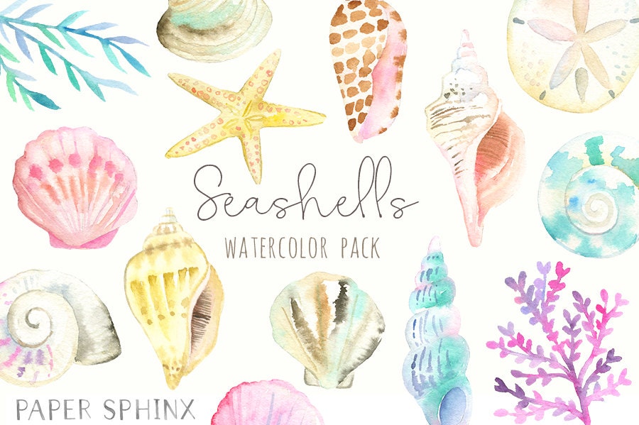 水彩の貝殻のクリップアート - 海の水彩クリップアート - 海の 水彩の貝殻のクリップアート - 海の水彩クリップアート - 海の