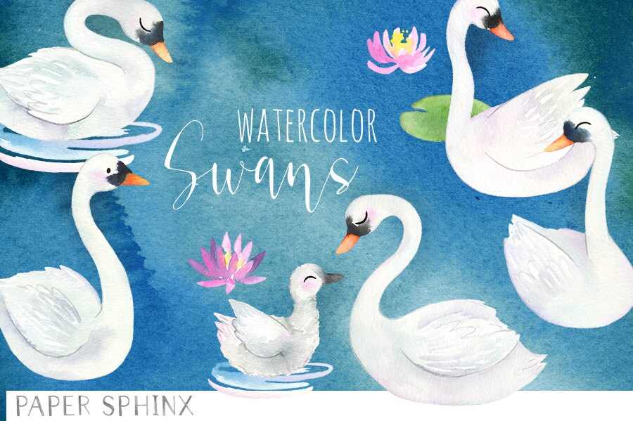 Watercolor Swans Clipart | Bird Nursery Art - Mommy and Baby Swan ...