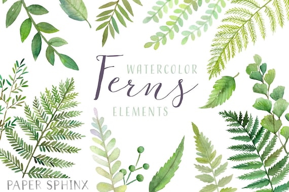 Aquarell Farn Clipart | Wald Bltter Clipart - grn Blatt Zweige und Stiele  - Hochzeit Einladung ClipArt - Instant Download PNGs - Etsy Schweiz