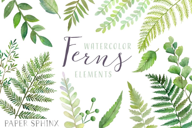 Watercolor Ferns Clipart Forest Leaves Clipart Greenery Leaf Branches and Stems Wedding Invitation Clip Art Instant Download PNGs image 1