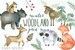 Winter Woodland Animals Clipart | Watercolor Forest Animals -  Winter Fox, Moose, Bear, Raccoon, Chipmunk, Deer Clip Art - Nursery Art 