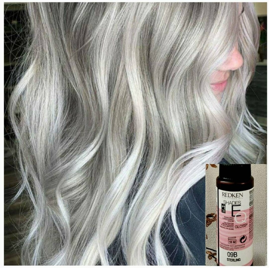 Redken Shades EQ 9B Sterling X 2 Etsy