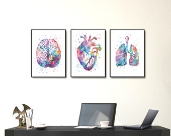 Lot affiches, coeur, poumons, cerveau, art médical, décoration médecin, chirurgien, neurochirurgien, anatomie, cardiologie, penumologie