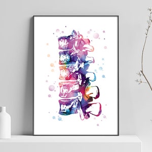 Vertebrae poster, spinal column, clinical physiotherapist, doctor decoration, art surgery, doctor gift, bone anatomy
