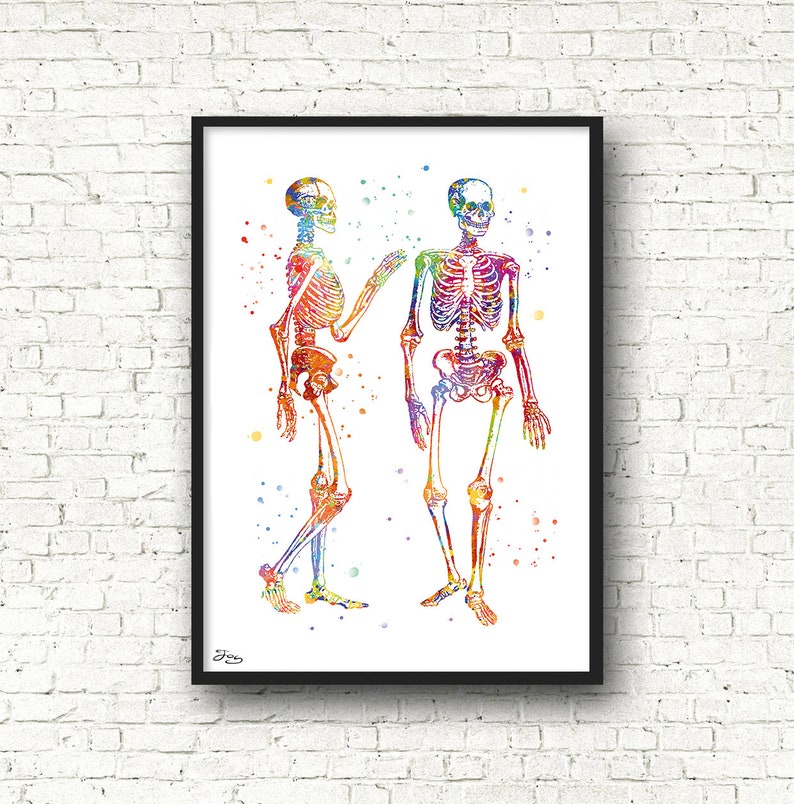 Peinture corps humain aquarelle anatomie dessin squelette | Etsy